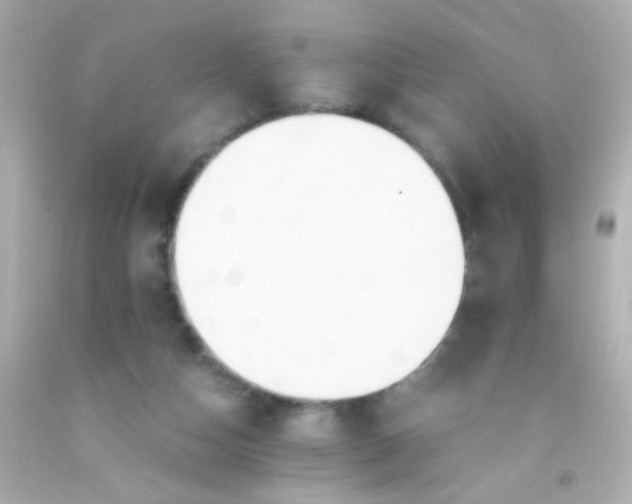 X0000091500162200709061929