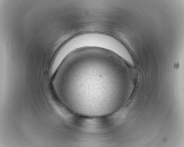 X0000091500164200709061929