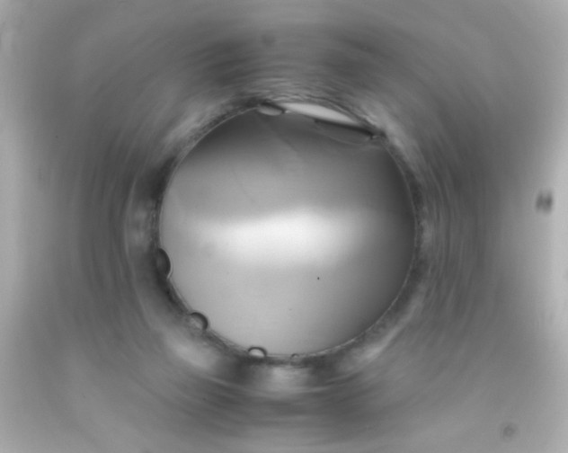 X0000091500165200709061929