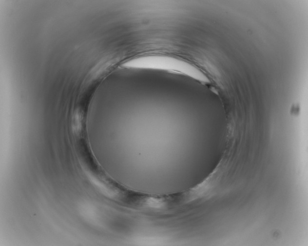 X0000091500166200709061929