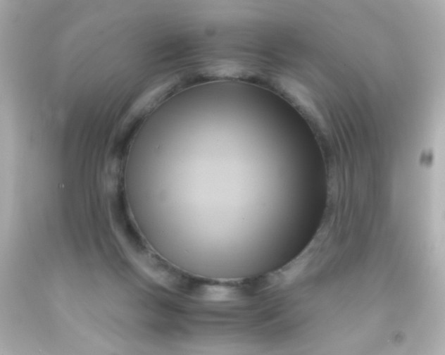 X0000091500167200709061929