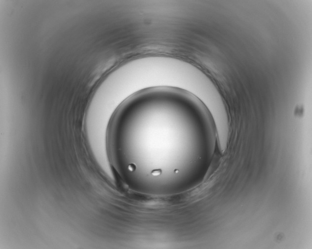 X0000091500168200709061929