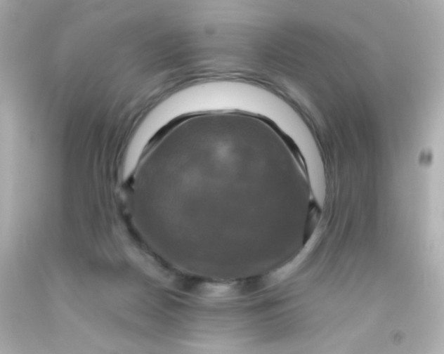 X0000091500170200709061929