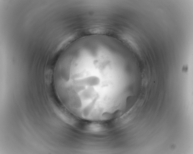 X0000091500171200709061929