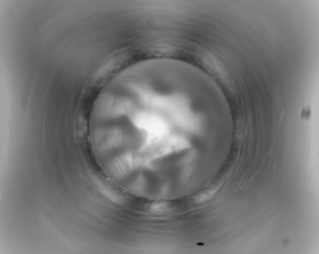 X0000091500173200709061929