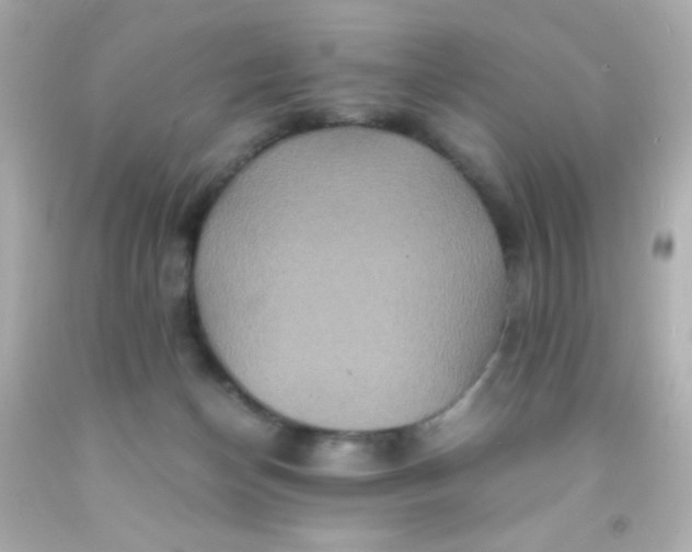 X0000091500174200709061929