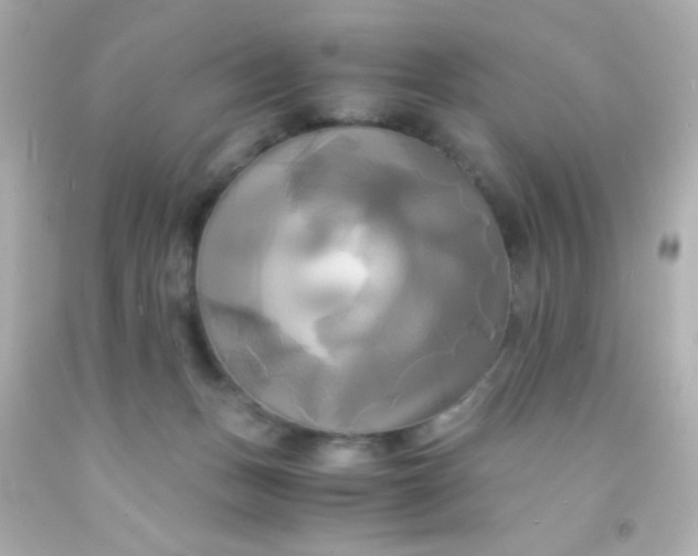 X0000091500175200709061929