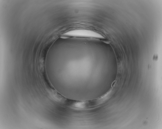 X0000091500178200709061929