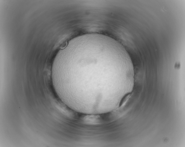 X0000091500179200709061929