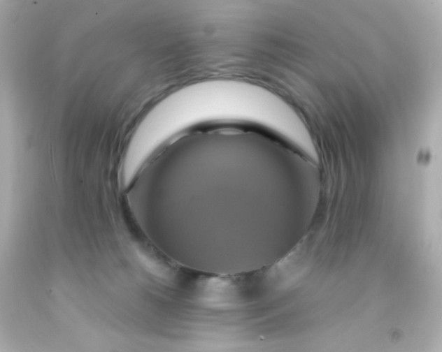 X0000091500180200709061929