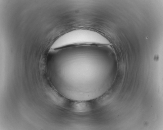 X0000091500181200709061929