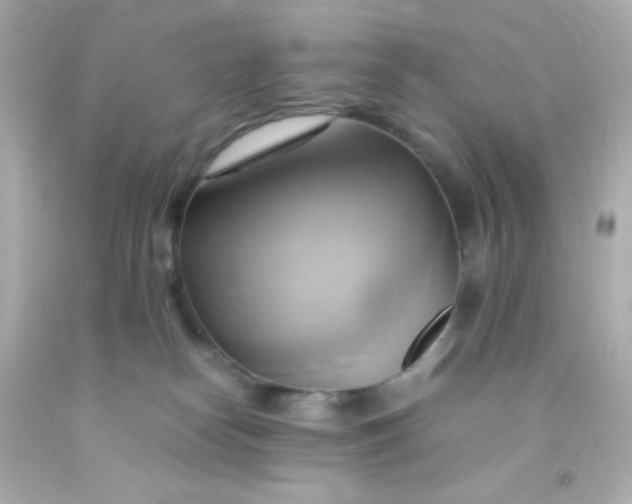 X0000091500182200709061929