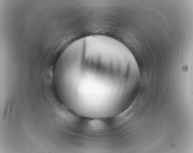 X0000091500183200709061929