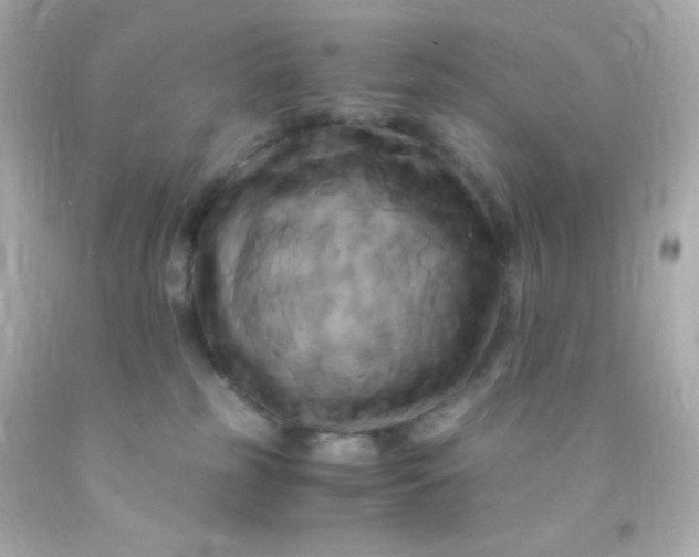 X0000091500185200709061929