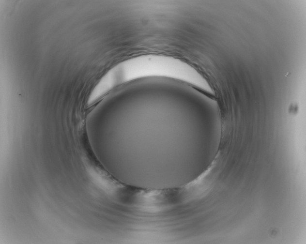 X0000091500186200709061929