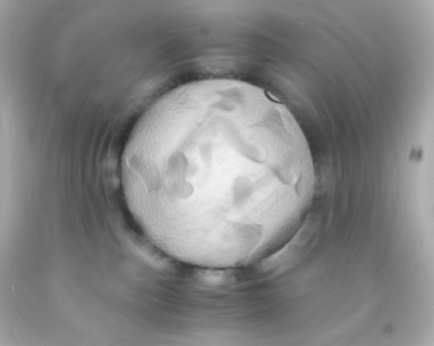 X0000091500187200709061929