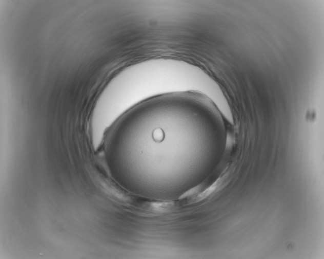 X0000091500188200709061930