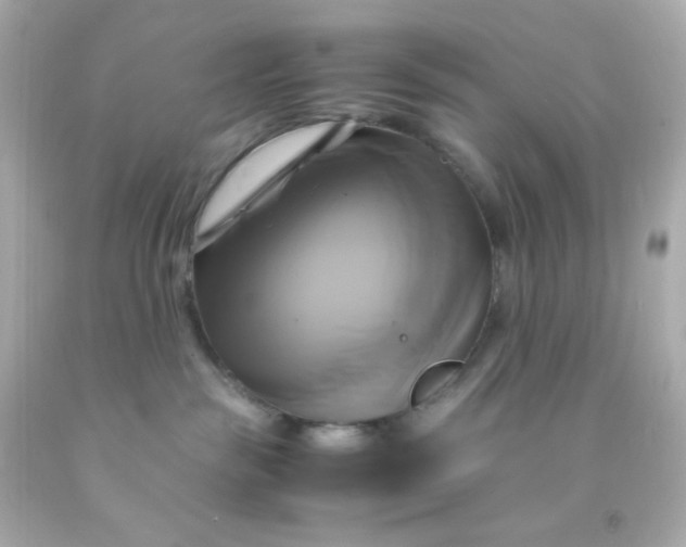 X0000091500189200709061930