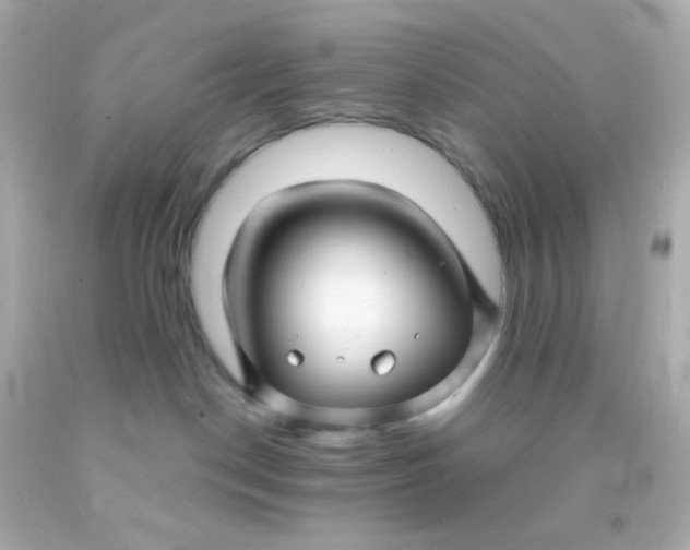 X0000091500190200709061930