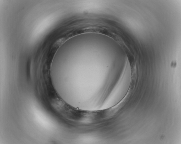 X0000091500191200709061930