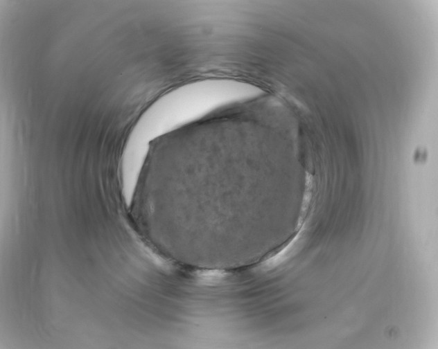 X0000091500192200709061930