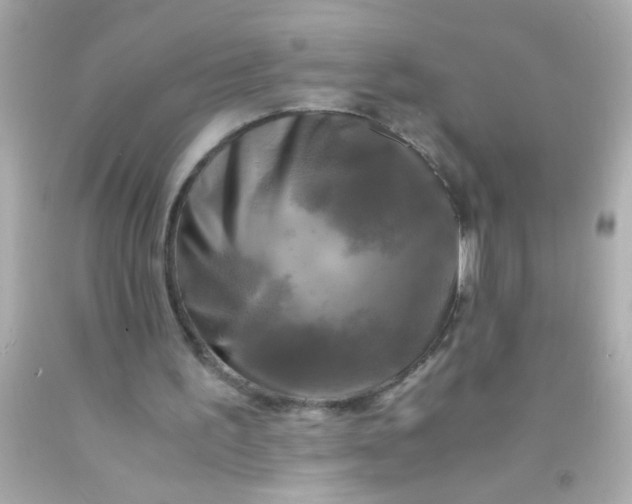 X0000091500195200709061929