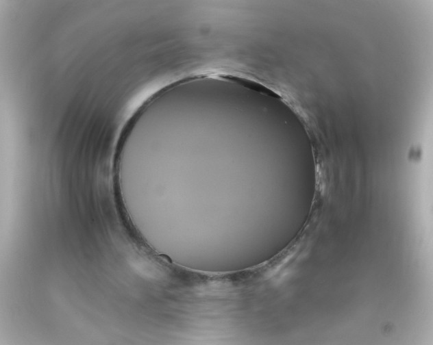 X0000091500196200709061929