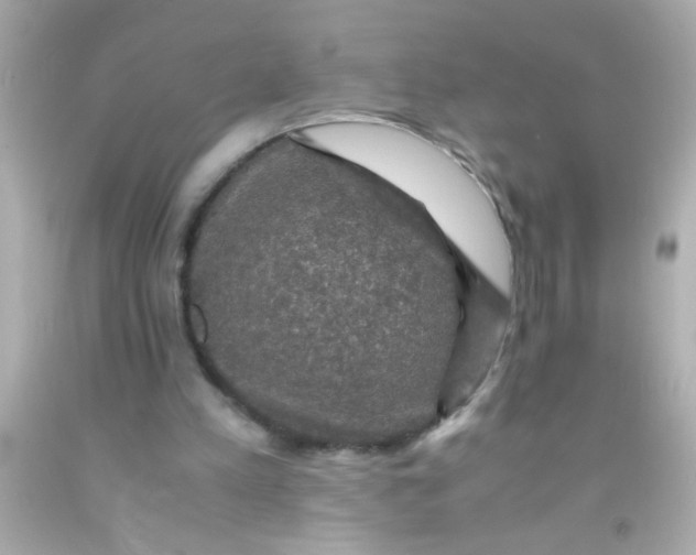 X0000091500197200709061929