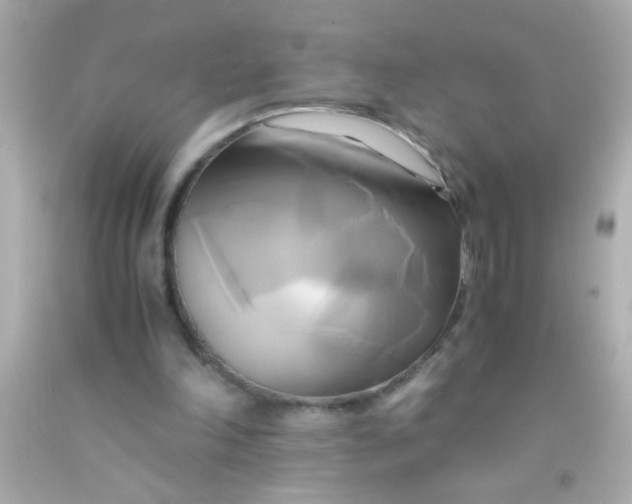 X0000091500198200709061929