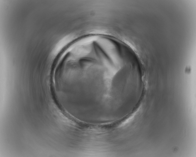 X0000091500199200709061929