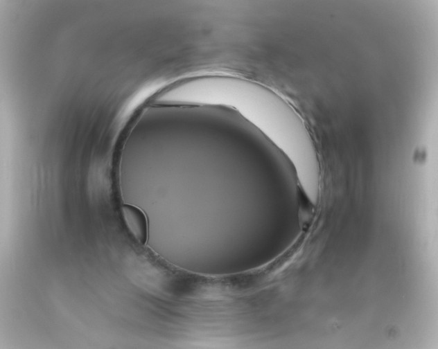 X0000091500200200709061929