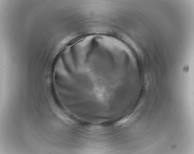 X0000091500203200709061929