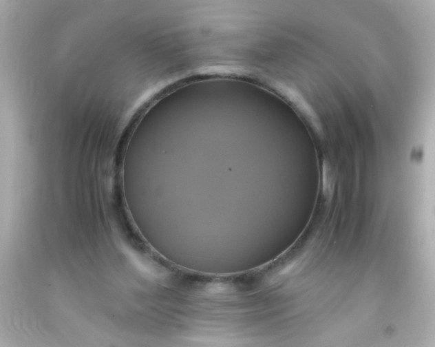 X0000091500204200709061929