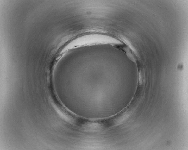 X0000091500205200709061929