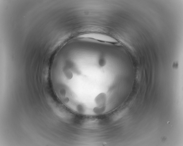 X0000091500206200709061929