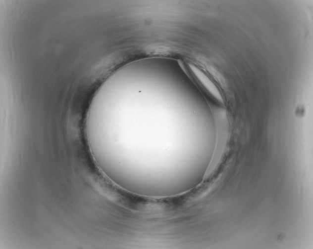 X0000091500209200709061929