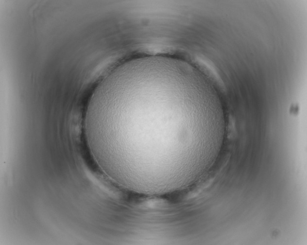 X0000091500210200709061929