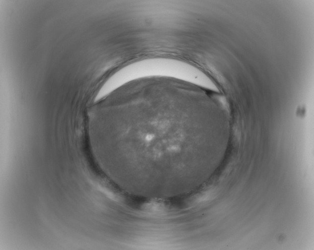 X0000091500211200709061929