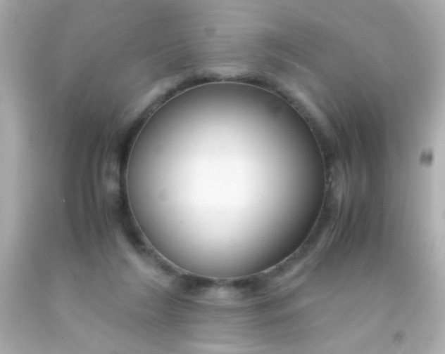 X0000091500212200709061929