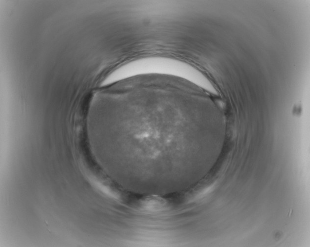 X0000091500215200709061929