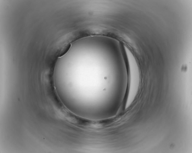 X0000091500217200709061928