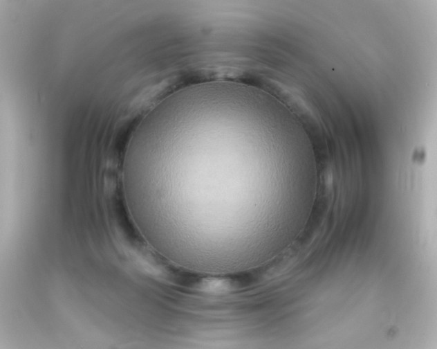 X0000091500218200709061928