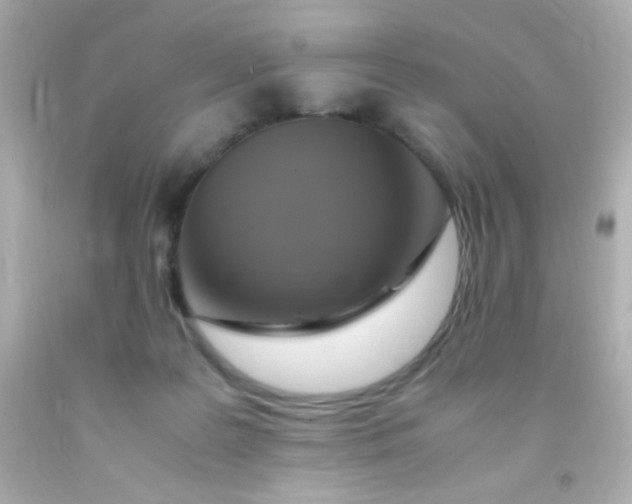 X0000091500219200709061928