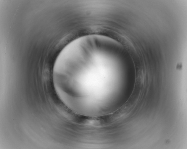 X0000091500220200709061928