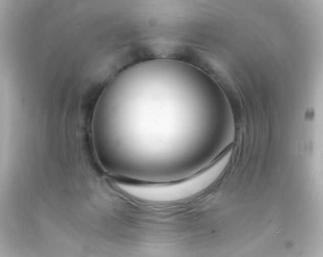 X0000091500221200709061928