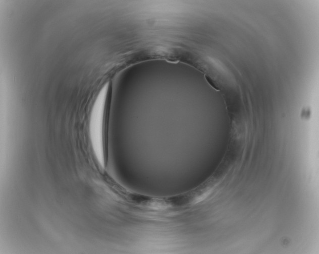 X0000091500223200709061928