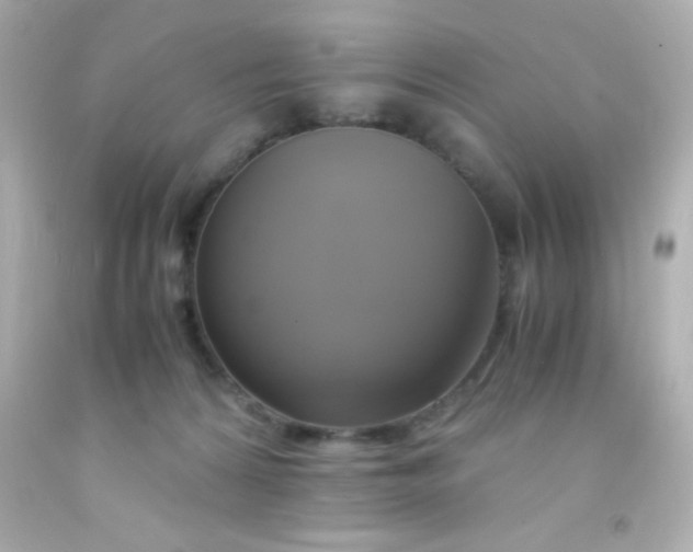 X0000091500224200709061928