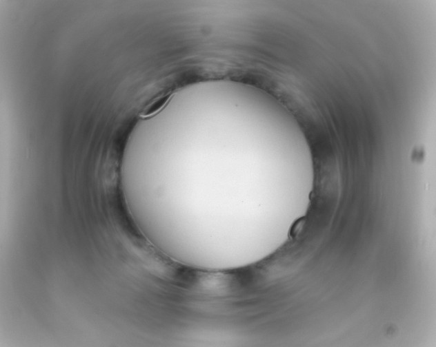 X0000091500226200709061928