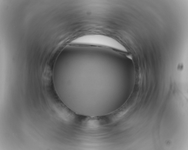 X0000091500228200709061928