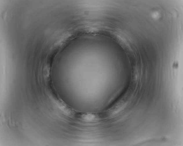 X0000091500230200709061928